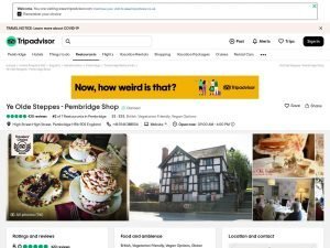 Tripadvisor Ye Olde Steppes Pembridge website screenshot